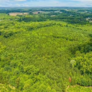 Photo #15 of 13.3 +/- Ac Godbey, Mocksville, NC 13.3 acres