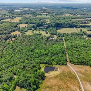 Photo #5 of TBD Snow Camp, Snow Camp, NC 32.7 acres