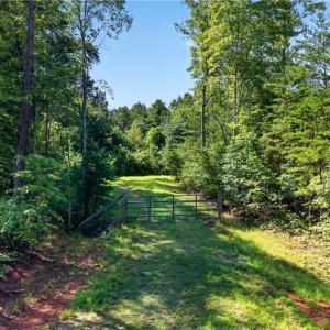 Photo #2 of 2585 Flat Rock, Pinnacle, NC 24.1 acres