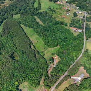 Photo #13 of 2585 Flat Rock, Pinnacle, NC 24.1 acres