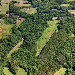 Photo #17 of 2585 Flat Rock, Pinnacle, NC 24.1 acres