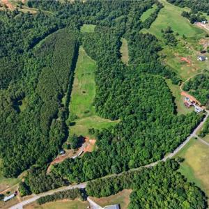 Photo #12 of 2585 Flat Rock, Pinnacle, NC 24.1 acres