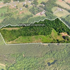 Photo #1 of 2585 Flat Rock, Pinnacle, NC 24.1 acres