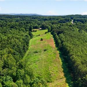 Photo #20 of 2585 Flat Rock, Pinnacle, NC 24.1 acres