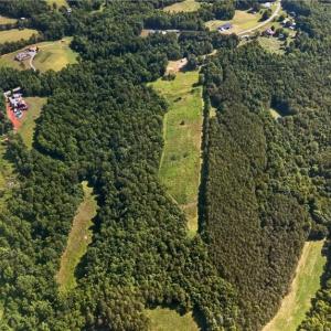 Photo #18 of 2585 Flat Rock, Pinnacle, NC 24.1 acres