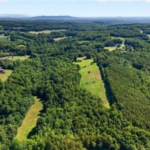 Photo #19 of 2585 Flat Rock, Pinnacle, NC 24.1 acres