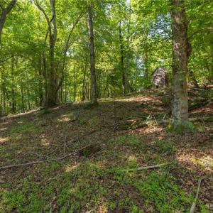 Photo #16 of 7289 Plunkett, Stokesdale, NC 4.9 acres