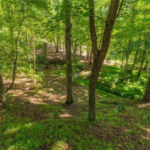 Gorgeous hardwoods