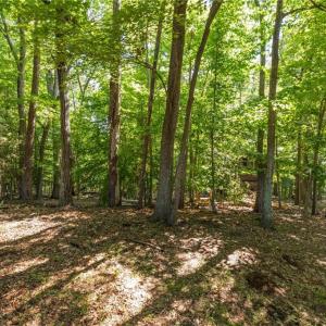 Photo #10 of 7289 Plunkett, Stokesdale, NC 4.9 acres