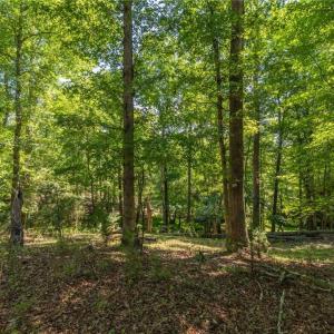 Photo #14 of 7289 Plunkett, Stokesdale, NC 4.9 acres