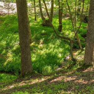 Stream in rear of property