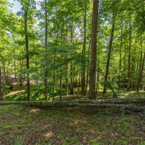 Photo #15 of 7289 Plunkett, Stokesdale, NC 4.9 acres