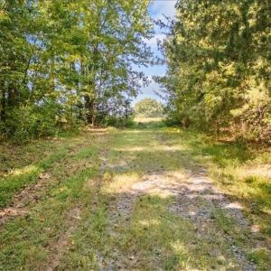 Photo #12 of 4069 Bentley, Randleman, NC 4.9 acres