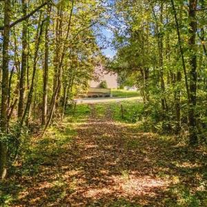 Photo #9 of 4069 Bentley, Randleman, NC 4.9 acres