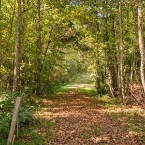 Photo #10 of 4069 Bentley, Randleman, NC 4.9 acres