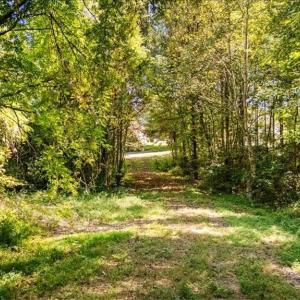 Photo #11 of 4069 Bentley, Randleman, NC 4.9 acres