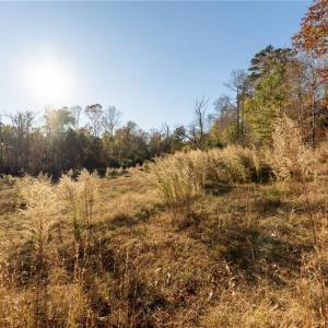 Photo #14 of 120 Brookberry, Jamestown, NC 7.9 acres