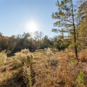 Photo #15 of 120 Brookberry, Jamestown, NC 7.9 acres
