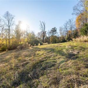 Photo #11 of 120 Brookberry, Jamestown, NC 7.9 acres