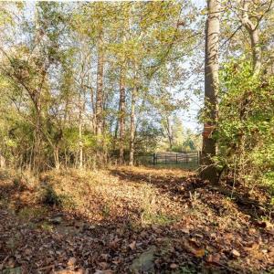 Photo #4 of 120 Brookberry, Jamestown, NC 7.9 acres