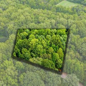 Homesite  #39