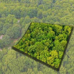 Photo #6 of 8006 Chatsworth, Browns Summit, NC 1.6 acres