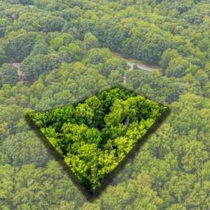 Photo #5 of 8006 Chatsworth, Browns Summit, NC 1.6 acres