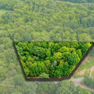 Photo #6 of 8002 Chatsworth, Browns Summit, NC 1.3 acres