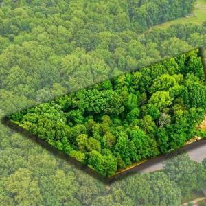 Photo #9 of 8002 Chatsworth, Browns Summit, NC 1.3 acres