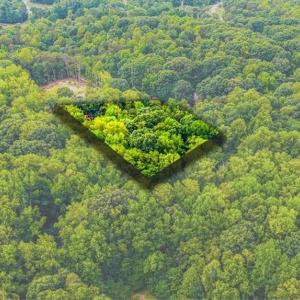 Photo #8 of 8002 Chatsworth, Browns Summit, NC 1.3 acres