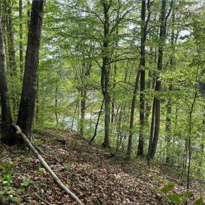 Photo #6 of Sheets, Germanton, NC 26.8 acres