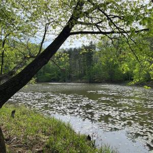 Photo #1 of Sheets, Germanton, NC 26.8 acres