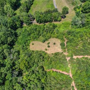 Photo #6 of Nc Highway 135, Stoneville, NC 21.6 acres