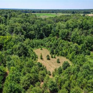 Photo #7 of Nc Highway 135, Stoneville, NC 21.6 acres