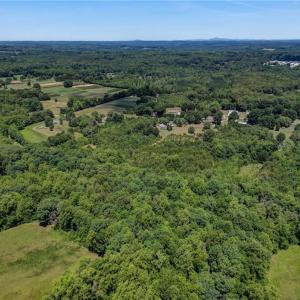 Photo #10 of Nc Highway 135, Stoneville, NC 21.6 acres