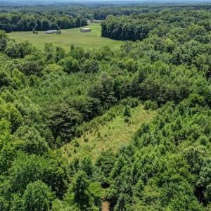 Photo #8 of Nc Highway 135, Stoneville, NC 21.6 acres