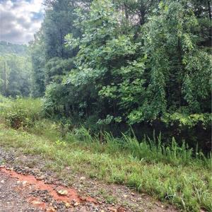 Photo #1 of Moonview, Cana, VA 0.5 acres