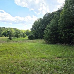 Photo #6 of 6091 Eaton, Walnut Cove, NC 30.9 acres