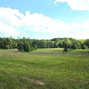 Photo #5 of 6091 Eaton, Walnut Cove, NC 30.9 acres