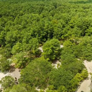 Photo #11 of 2312 Swan Island Road, Corolla, NC 0.3 acres