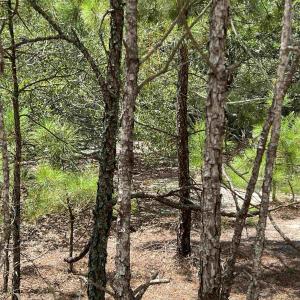 Photo #4 of 2312 Swan Island Road, Corolla, NC 0.3 acres