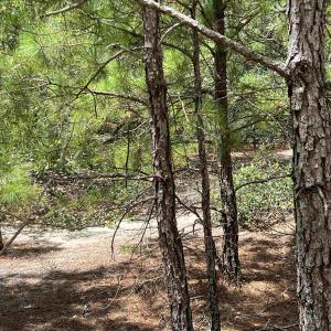 Photo #5 of 2312 Swan Island Road, Corolla, NC 0.3 acres