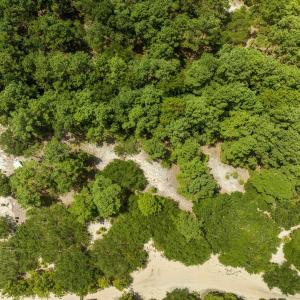 Photo #9 of 2312 Swan Island Road, Corolla, NC 0.3 acres