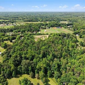 Photo #14 of 01 Pineville, Mocksville, NC 10.1 acres