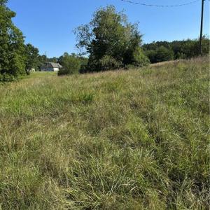 Photo #13 of 7.75 Goff, King, NC 7.8 acres