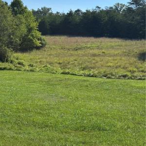 Photo #5 of 7.75 Goff, King, NC 7.8 acres