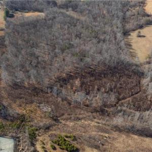 Photo #9 of Snow Hill Church, Lawsonville, NC 22.7 acres