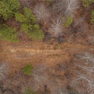 Photo #12 of Wellhouse, Walnut Cove, NC 11.4 acres