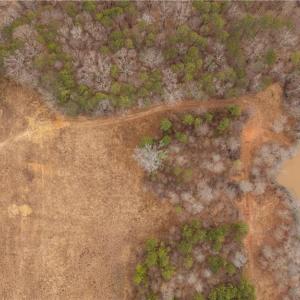 Photo #9 of Wellhouse, Walnut Cove, NC 11.4 acres
