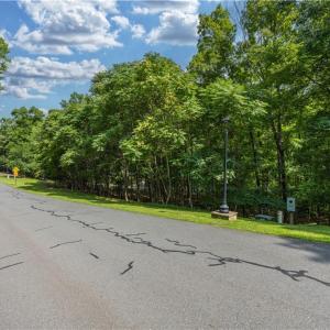 Photo #27 of 1006 Rocky Cove, Denton, NC 1.0 acres